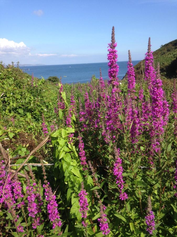 Kerryanna Country House Bed And Breakfast Mevagissey Exterior photo